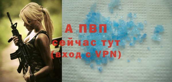 PSILOCYBIN Пересвет