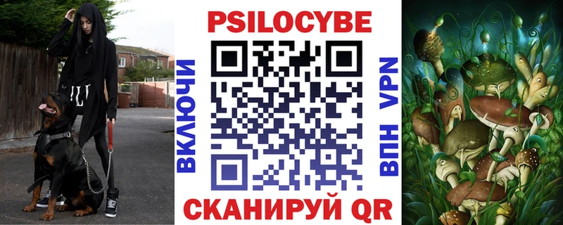 Купить закладки  Щёлково  Псилоцибиновые грибы прущие грибы 