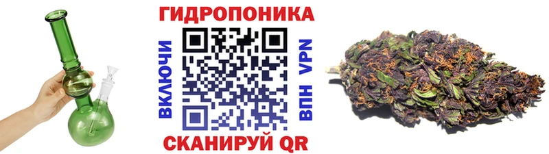 Купить  Щёлково  Канабис сатива